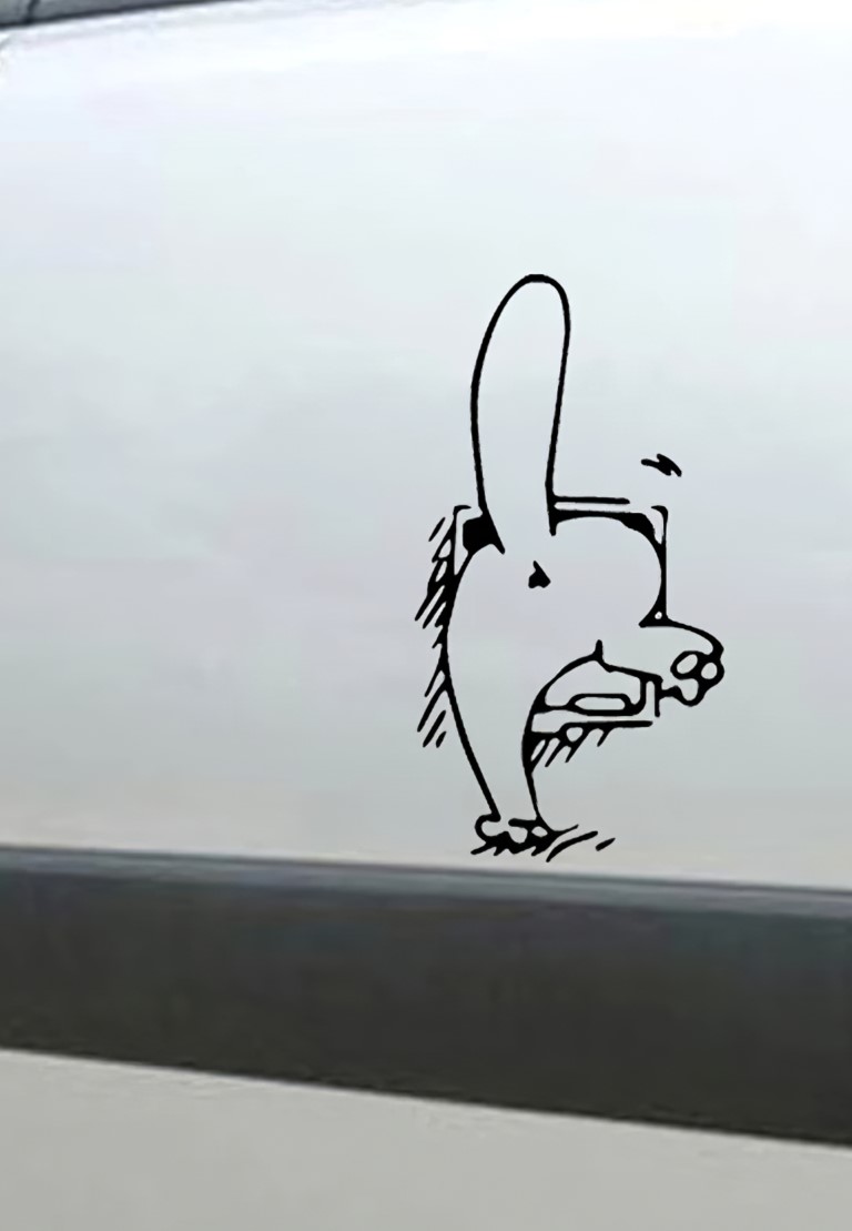 Autómatrica vicces cicabejáró